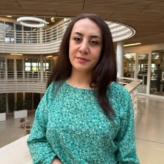 Monir Taherkhani